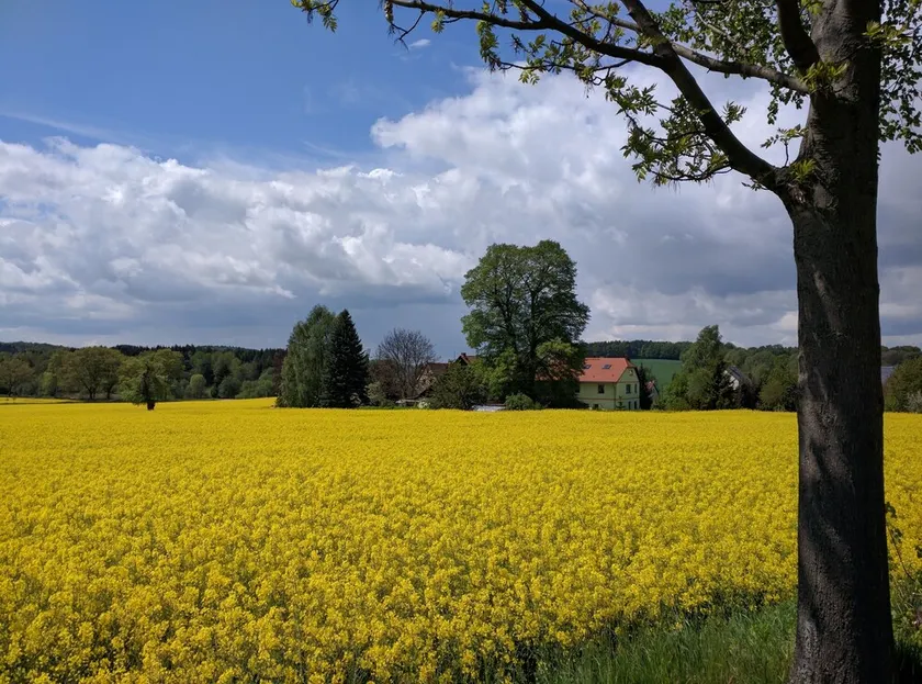 Mit Stil in der Natur - Image 1