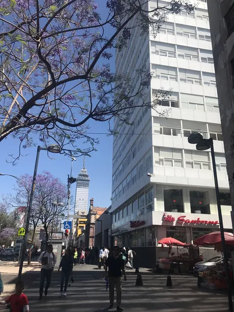LOFT MIRADOR / ALAMEDA CENTRAL / CDMX - Image 1