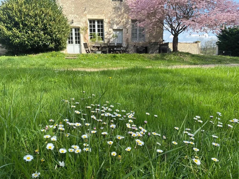 Grande cottage di famiglia nel parco di un monumento storico - Borgogna Chablis - Image 1