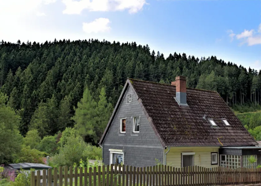 Pleasant Apartment in Wildemann amid Forest - Image 1