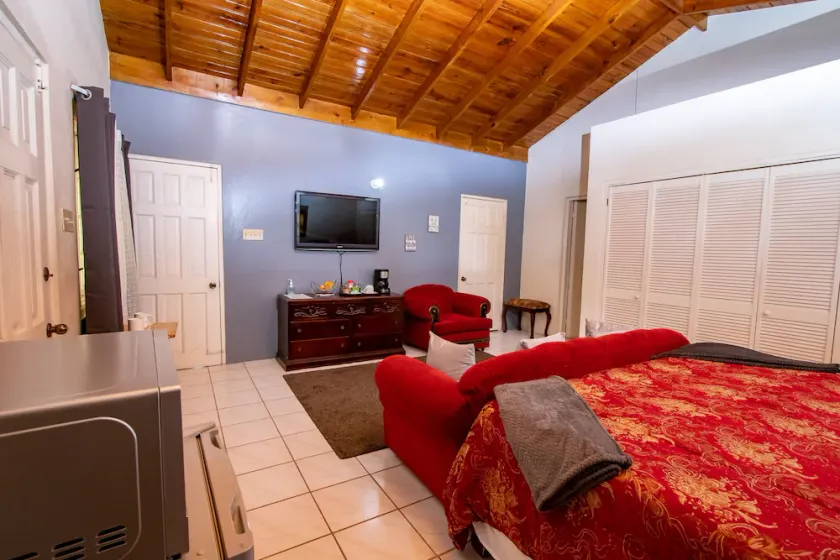 876 Penthouse Suites By Kingston Airport 🇯🇲 - Image 1