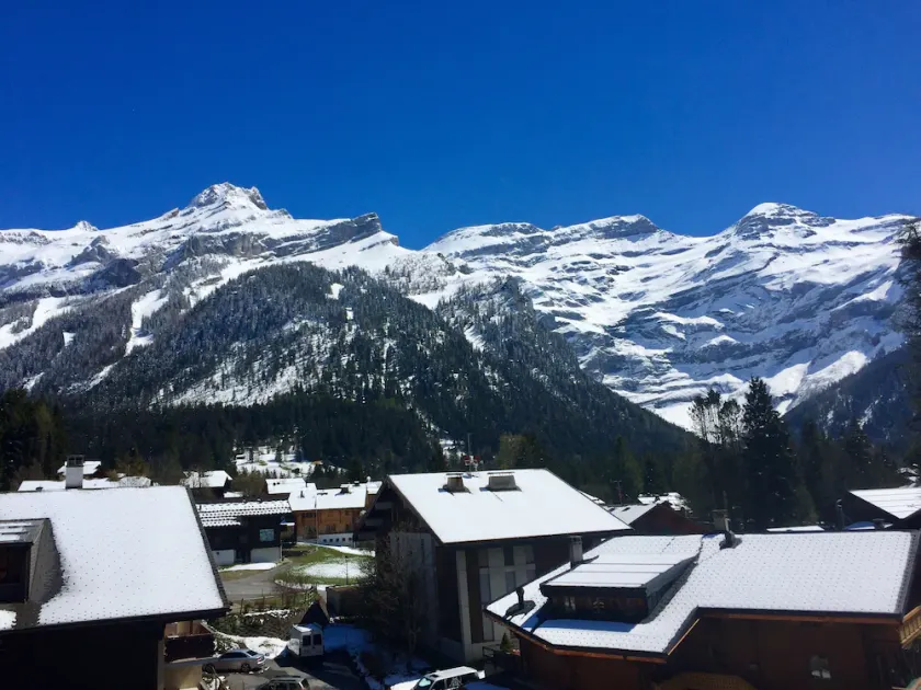 2-Zimmer-Wohnung und eine halbe Diablerets - Image 1