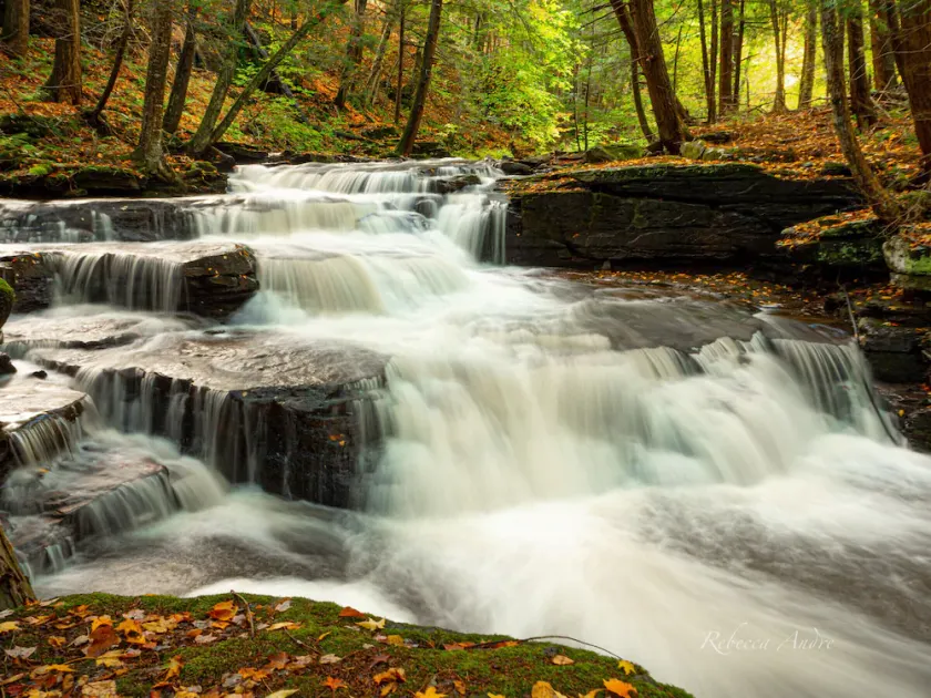 Catskill Contemporary Retreat - Ein Traum erwartet !! - Image 1