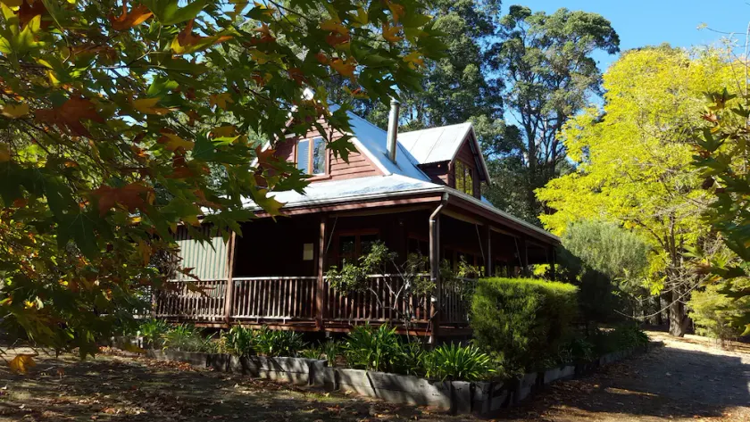 DUFFY'S HAUS Zedernhütte - Image 1