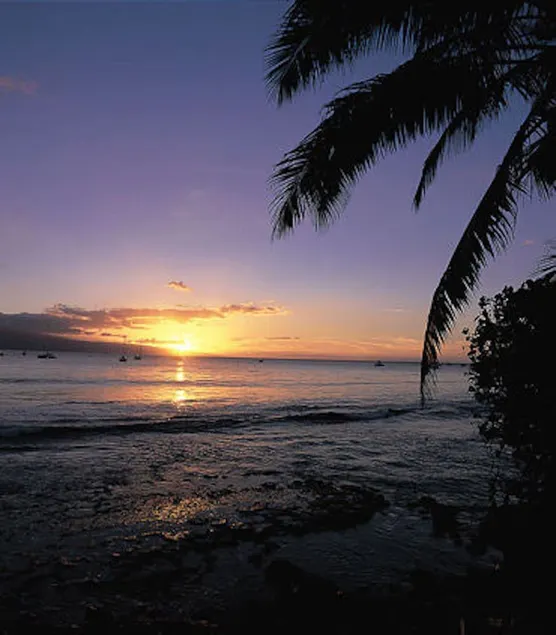 Marriott Maui Ocean Club, Two bedroom, well equipped, sleeps 8 - Image 1