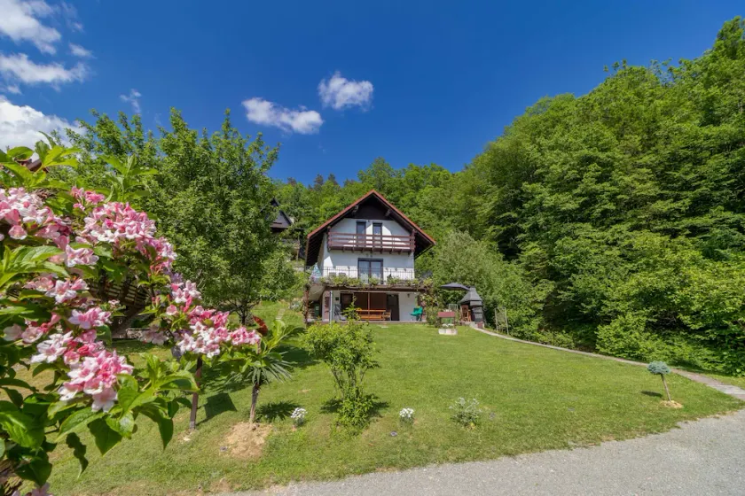 Ideal oasis for a vacation surrounded with forest - Image 1