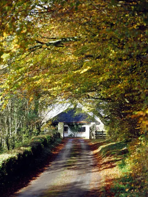 Galway Victorian Gate Lodge - Image 1