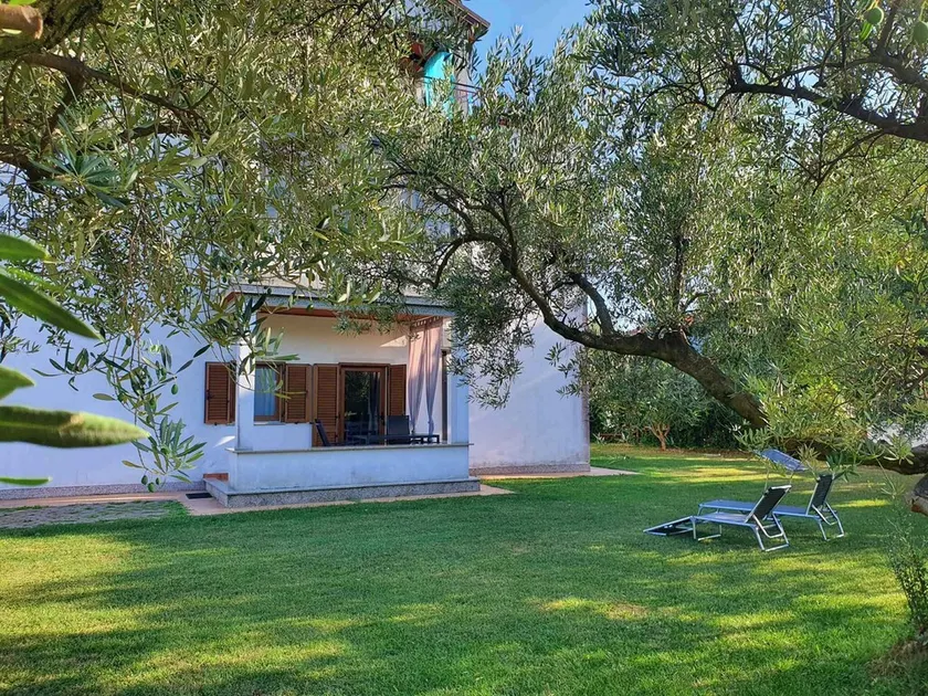 Holiday apartment with dishwasher, terrace and courtyard - Image 1