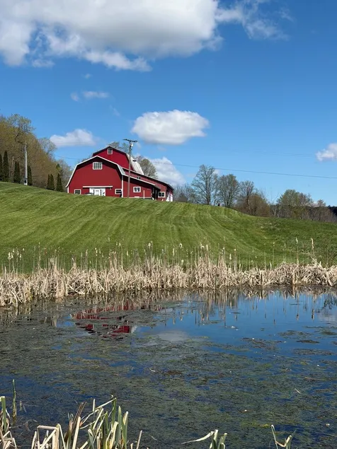 Cold Spring Farm Milk House Apt.<br> - Colgate & Hamilton College, Kæledyrsvenlig<br><br> - Image 1