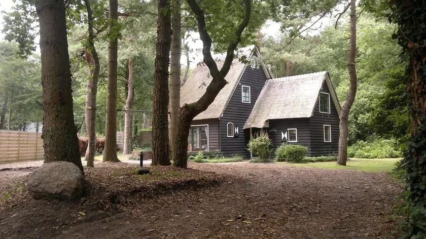 Vakantiehuis in de Bossen van Norg - Image 1