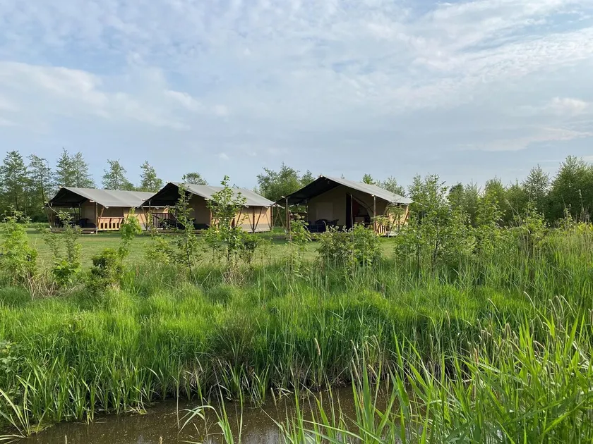 Luxury glamping near the Frisian waters - Image 1