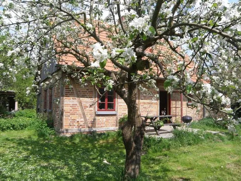 Ferienhaus Apfelhof, Deutschland - Image 1