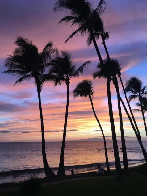 OCEAN VIEW, GRAND LANAI, PAS DE LA PLAGE, REMODELED, BLDG 10 - Image 1