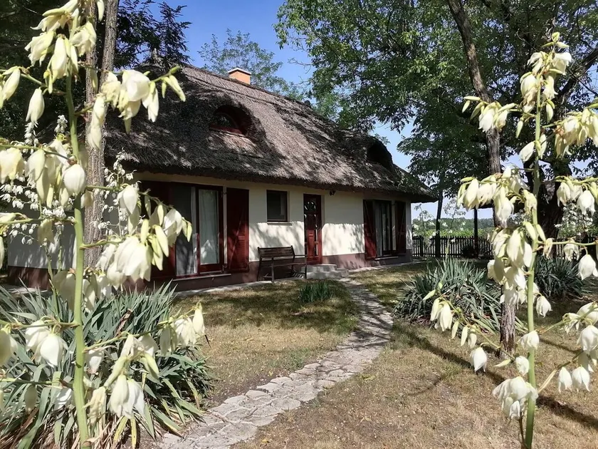 2 houses (up to 9 people) surrounded by nature and with a private swimming pool - Image 1