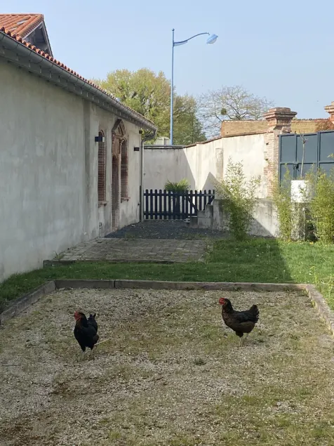 Charming T2-house on the outskirts of Toulouse - Image 1