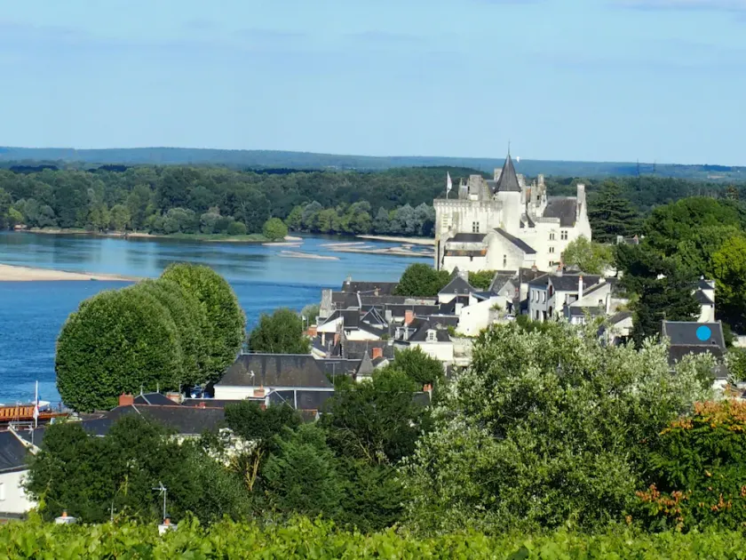 Logis des Abbesses - en hængende have på Loire. - Image 1