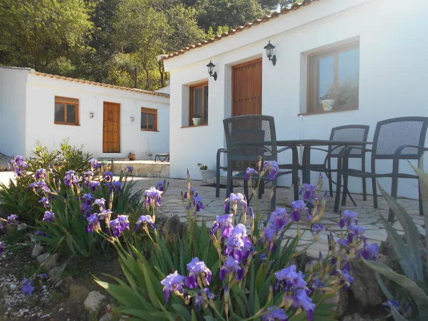 Ruhiges Ferienhaus für Selbstversorger in Andalusien - Amonst The Olive Fields - Image 1
