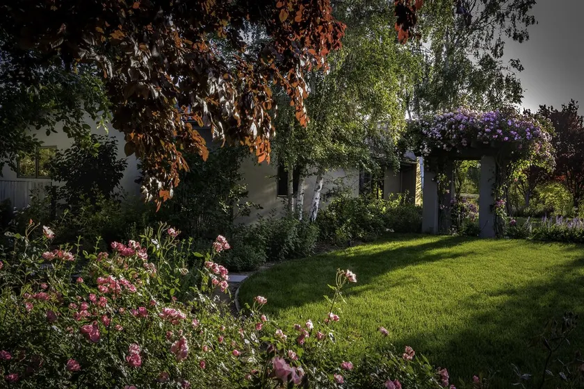 Hermosa Rose Cottage en Wine Country-Media semana especial !!!!! - Image 1