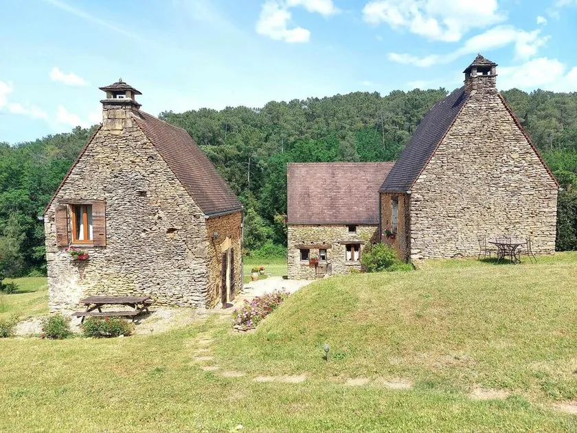 Domaine de Chantegrel near Sarlat with a private saltwater swimming pool - Image 1