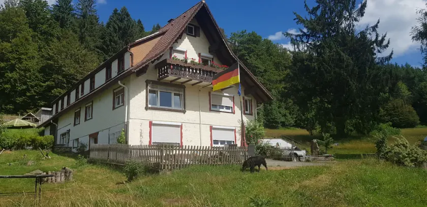 Sentiment pur de la Forêt-Noire dans un seul appartement - Image 1