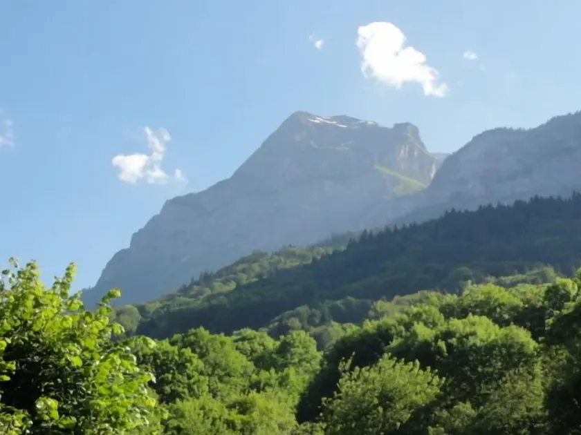 AGRITURISMO SITUATO NEL CUORE DELL 'ALTA SAVOIA A metà strada tra Chamonix, Annecy, Ginevra - Image 1