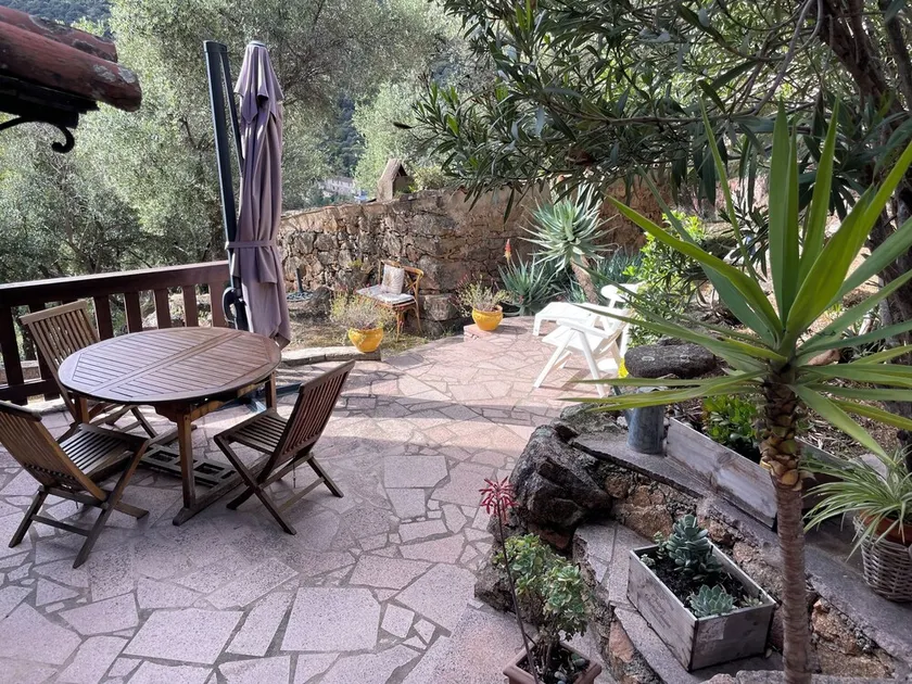 sunny green setting - Image 1