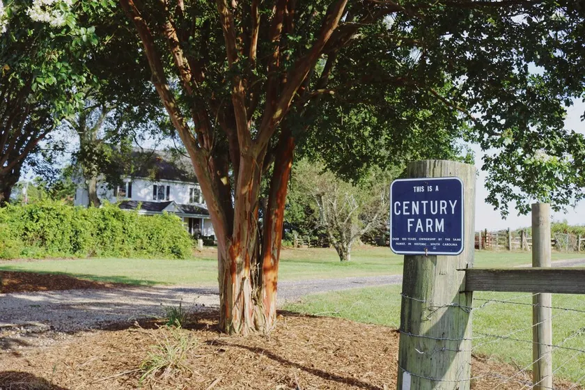 Historic Farm House on 400 Acre Cattle Farm near Clemson, SC - Image 1