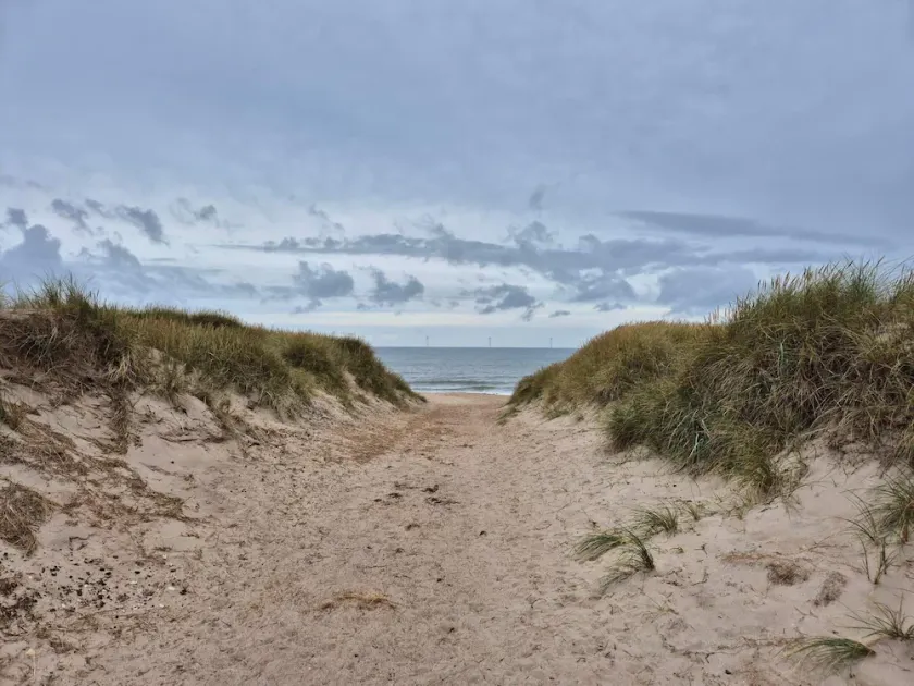 14 Person Holiday Home in Harboore - Image 1