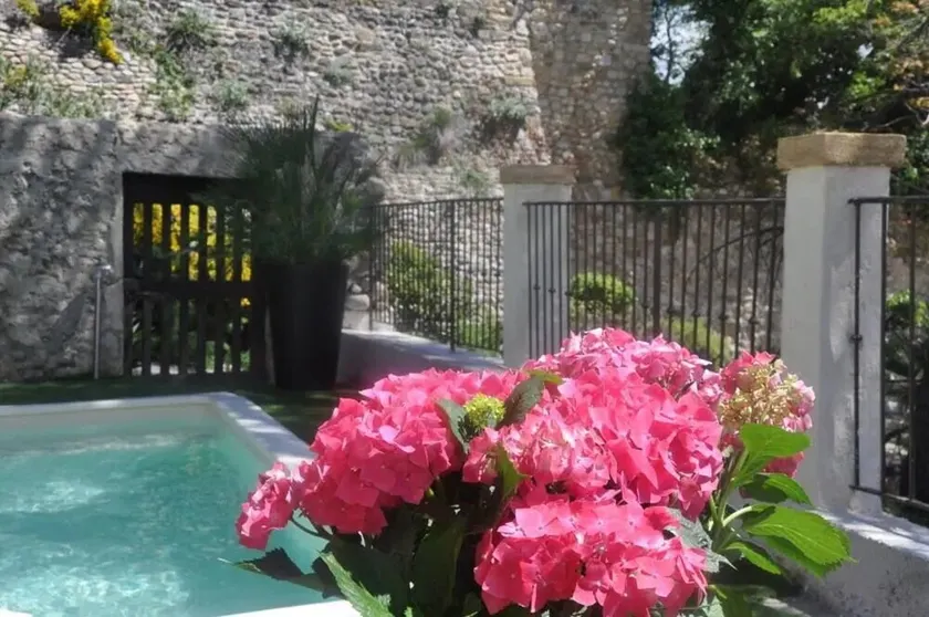 Panoramic view Quiet private pool - Image 1