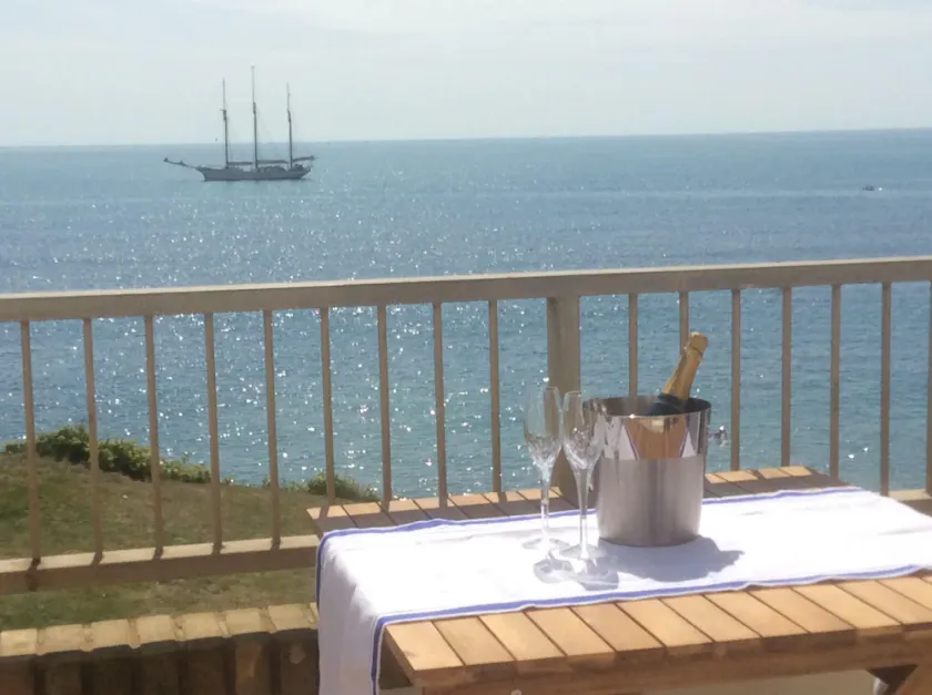 Breathtaking Ocean Views,  Luxury Beachside Apartment, Freshwater Bay -  AONB - Image 1