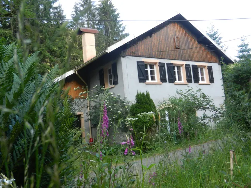 Maison en Pleine Nature 6km de Gérardmer - Image 1