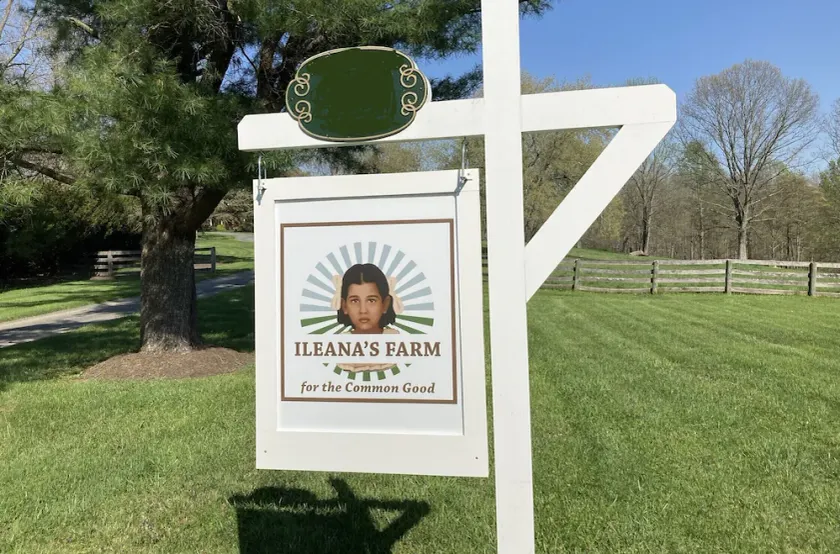 Peaceful 24-Acre Horse Farm Retreat Estate with Pool Near DC - Image 1