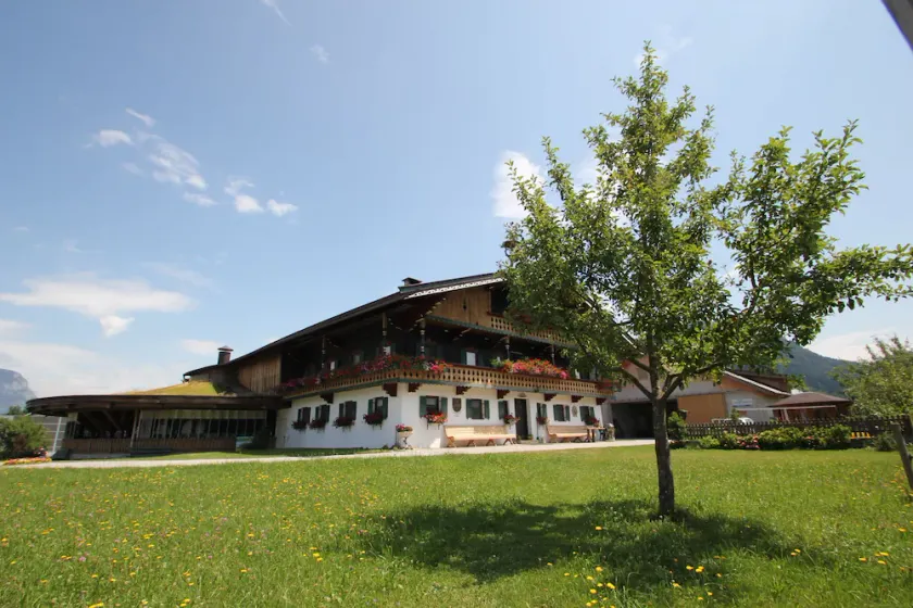 Økologisk gård på landet - Image 1