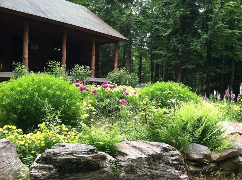 Perry Pond Paradise! - Image 1