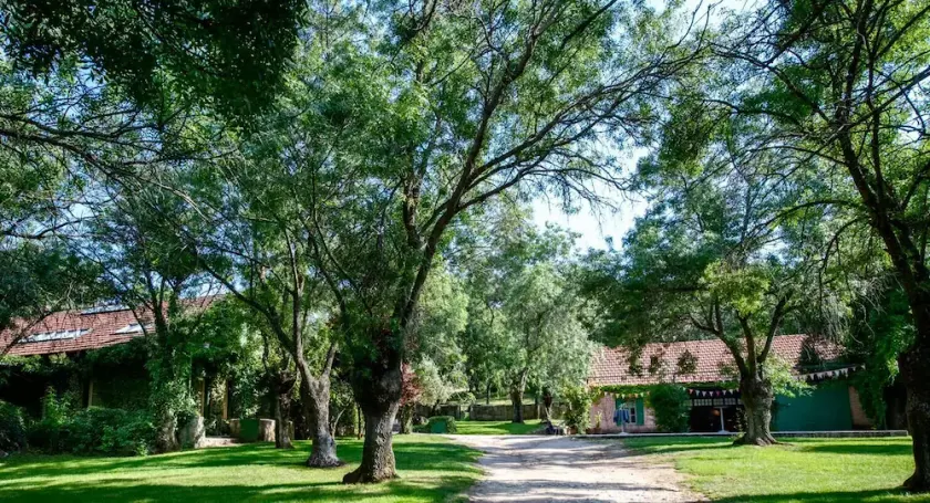 Estate - Image 1
