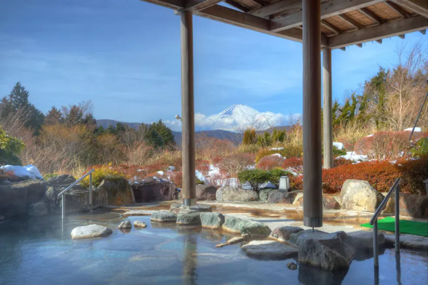 Hotel Green Plaza Hakone - Image 1