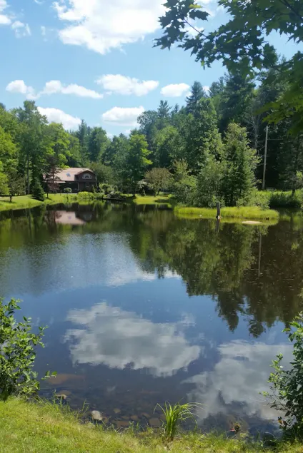 PET-FRIENDLY - Adirondack Retreat w/ Private Sandy Beach Close To Season Events - Image 1