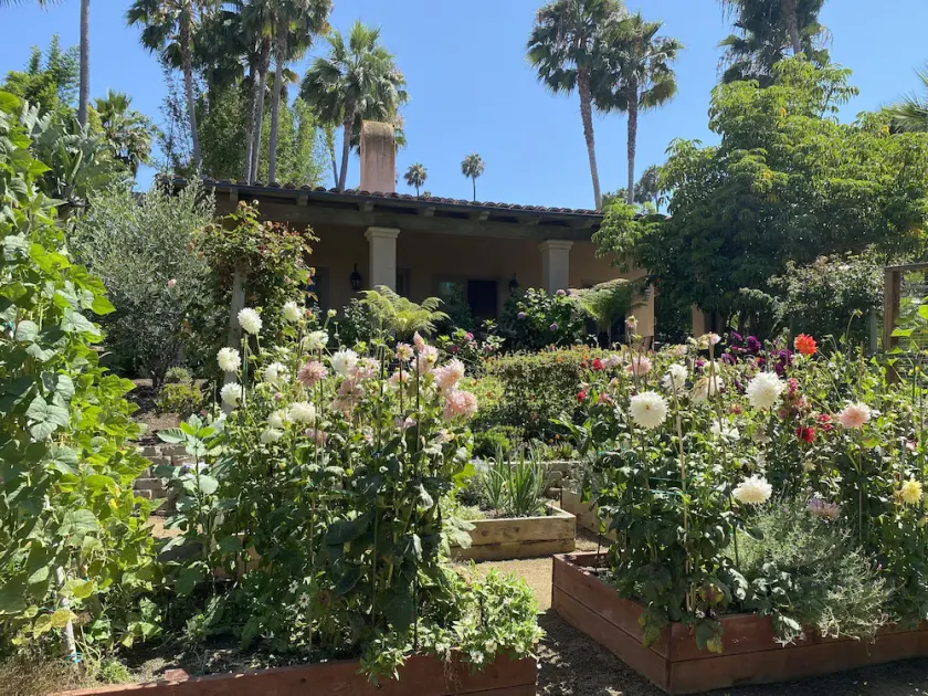 Orange Blossom Guesthouse - in the heart of Rancho Santa Fe, CA. - Image 1