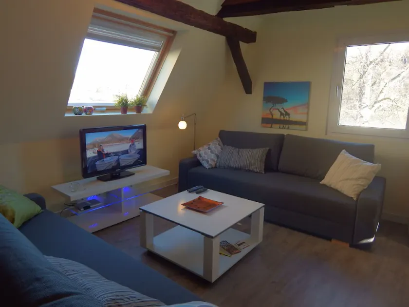 Piccolo loft in mansarda - vista diretta sul Reno - Image 1