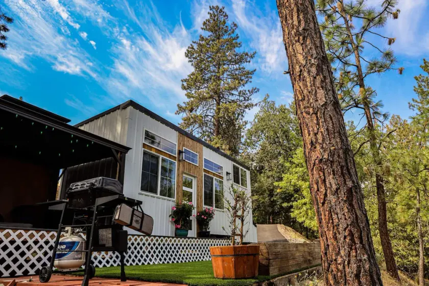 Modern Tiny House in the Woods w/Hot Tub - Image 1