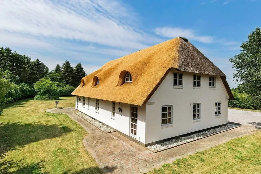 5 stjernet sommerhus i Gram - Image 1
