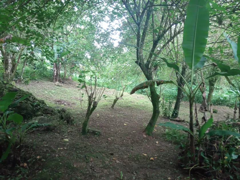 Muris Light Sanctuary - Image 1