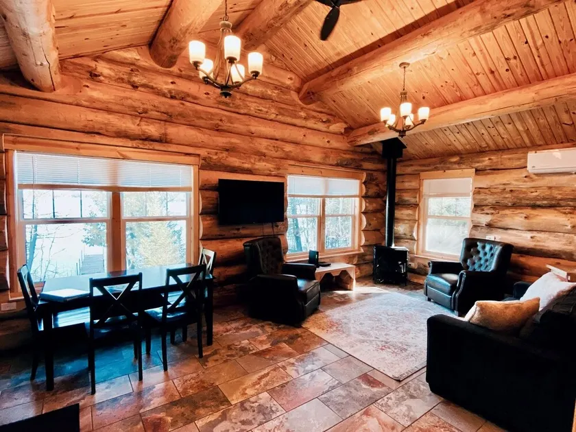 NEW CABIN W/LAKE VIEW! 2PersonJacuzzi.GasFireplace.Beach.Patio.Wifi.Kayaks.Canoe - Image 1