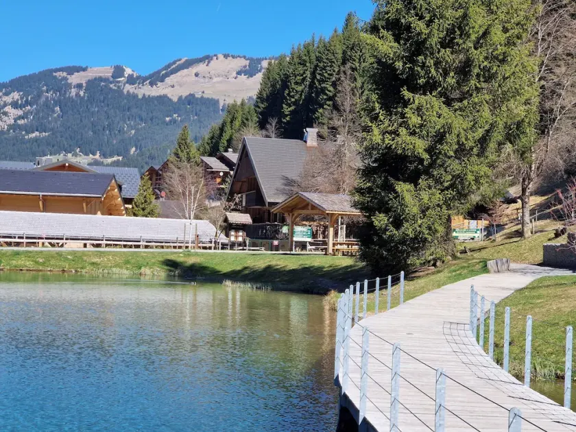 Casa de montaña (madera / piedra) - Chatel 19 pers - Image 1
