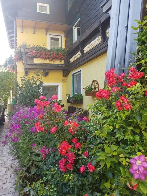 Pension Haus Rohrmoser - Image 1