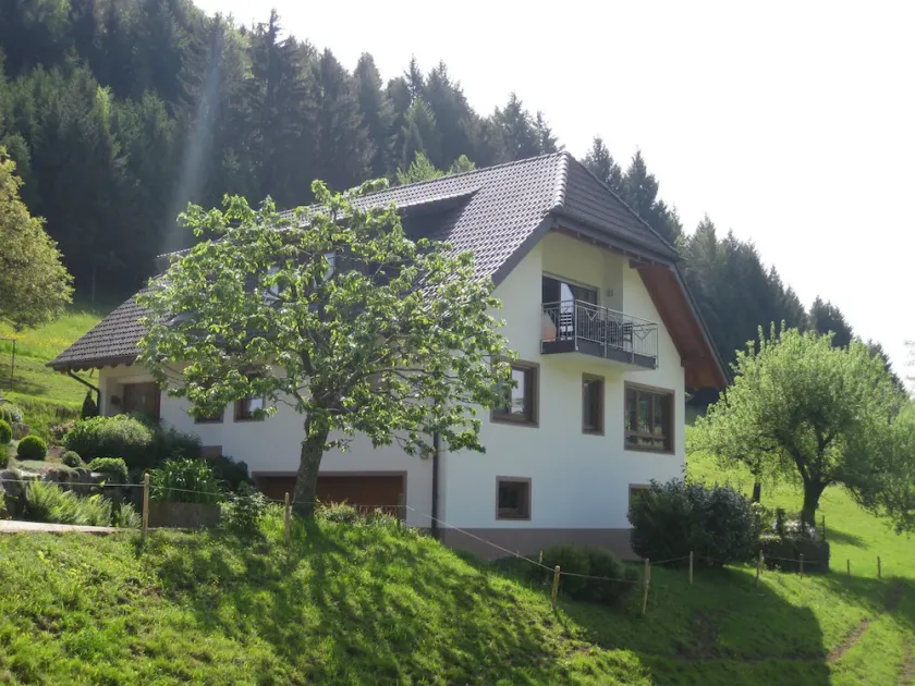 Mockhof - Bachhüsliblick - Image 1