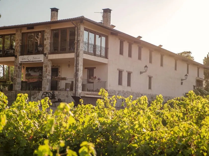 Rural house. The Vitis Inn. - Image 1