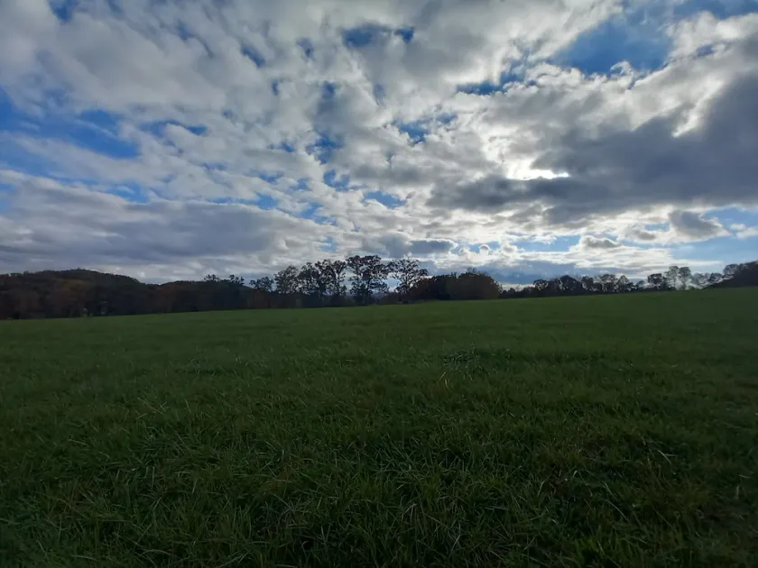 Scenic View - this farm has it all! - Image 1