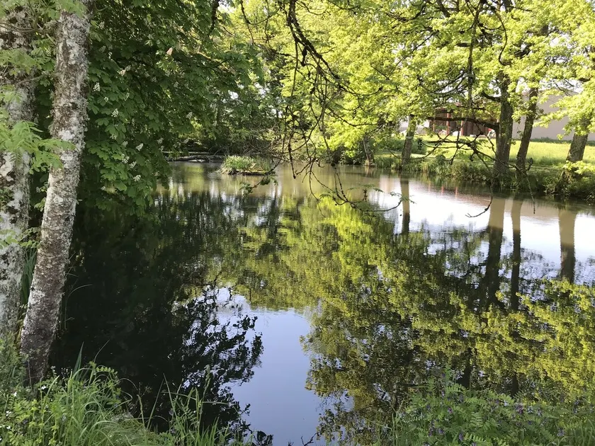 Vackert hus i skogen på stigar Colette - Image 1