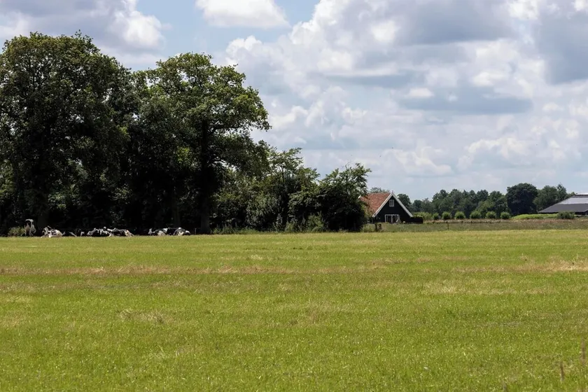Das Ferienhaus in Assenhoekje bietet Platz und Ruhe, einen umzäunten Garten und kostenfreies WLAN - Image 1